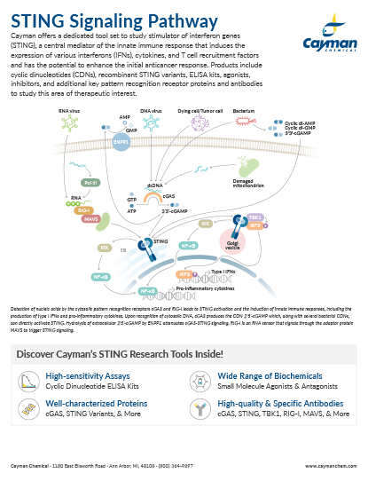 <p>​STING Signaling Pathway<br></p>